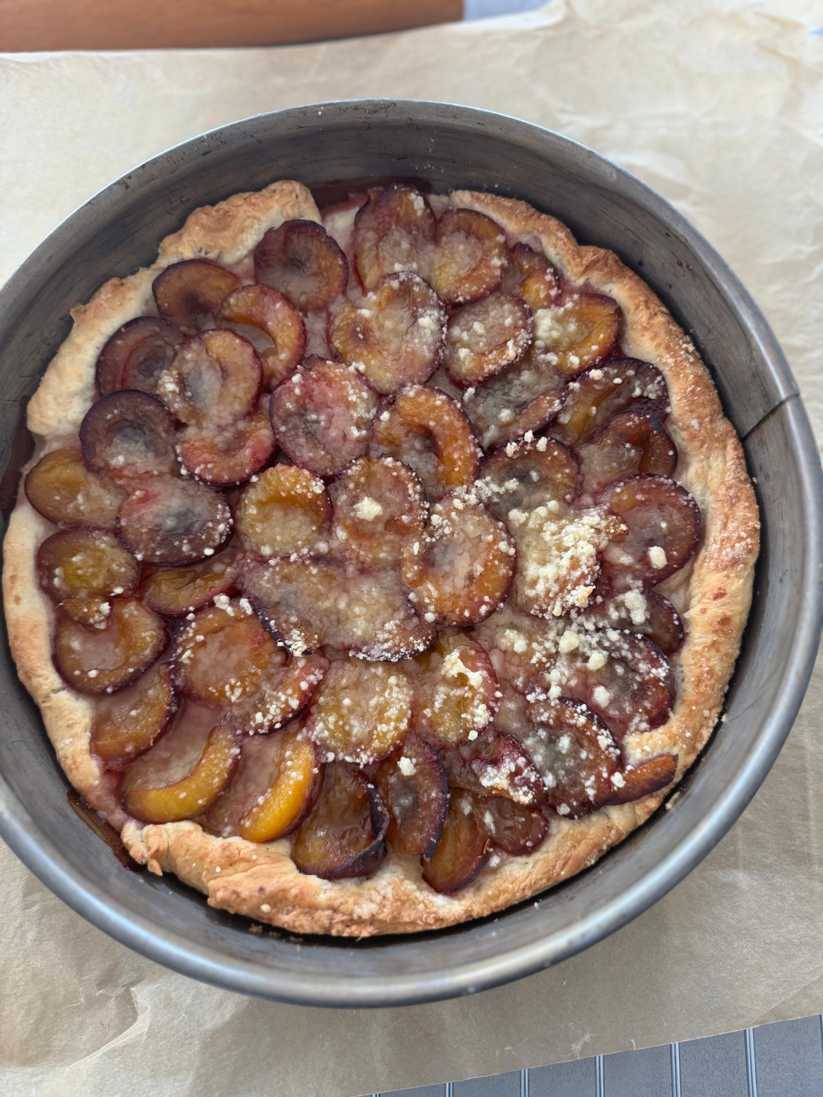 Frisch gebackener runder Zwetschgenkuchen in der Springform