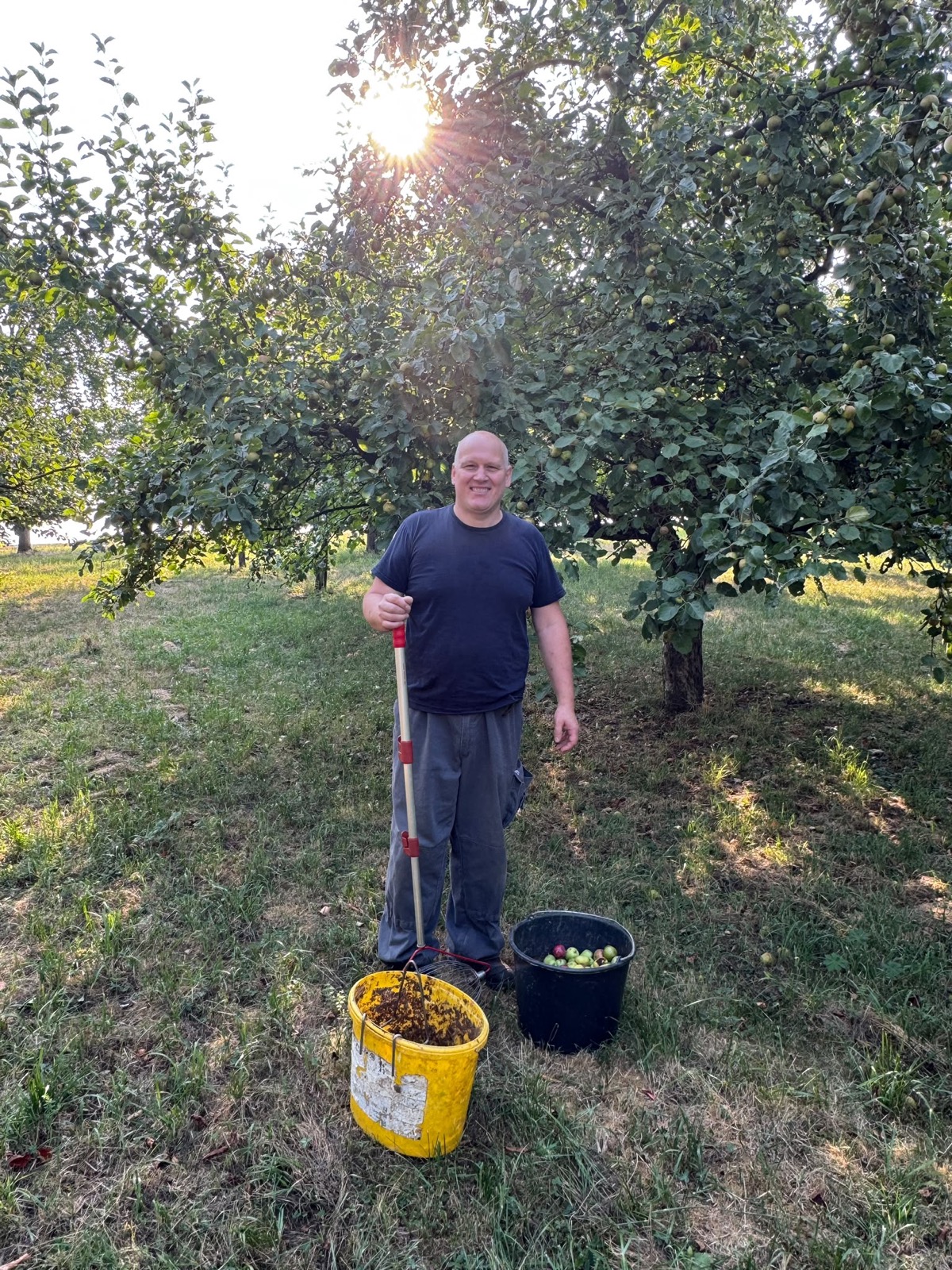 Mathias Walter mit Obstpflücker und Eimern auf seiner Streuobstwiese